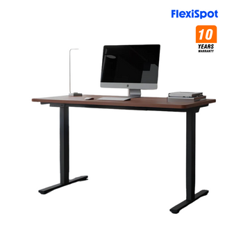 FlexiSpot E1 Pro Professional Economy Dual-Motor Electric Standing Desk (120~180cm Width)