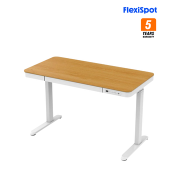 FlexiSpot E9W Woodee 電動升降桌 (120cm寬)