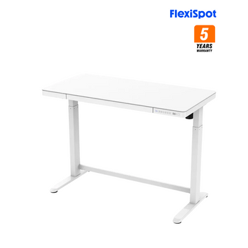 FlexiSpot ET118 強化玻璃面電動升降桌 (120cm寬)
