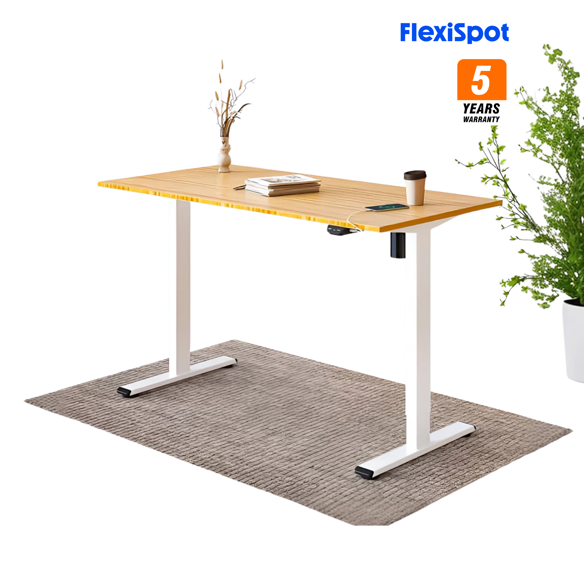 FlexiSpot E2 電動升降桌 (100~160cm寬)