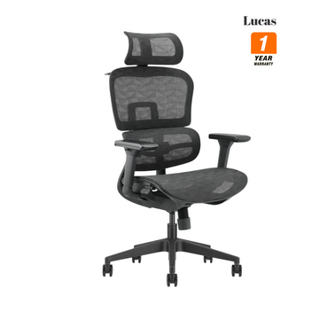 Lucas Ergonomic Office Chair