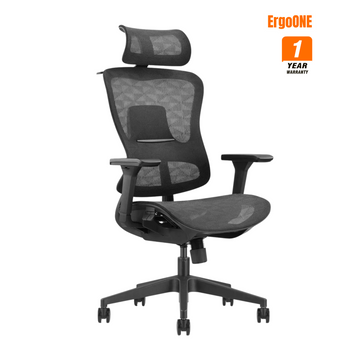 HOEY Ergonomic Office Chair