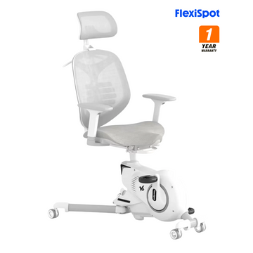 FlexiSpot Deskbike V6 Pro 辦公室健身單車椅