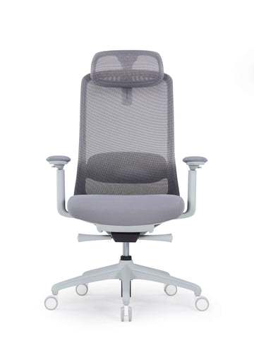 Aron Task chair