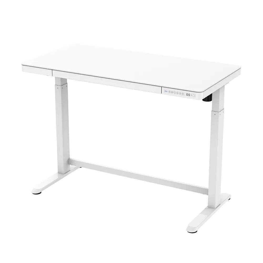 FlexiSpot ET118 Tempered Glass Electric Standing Desk