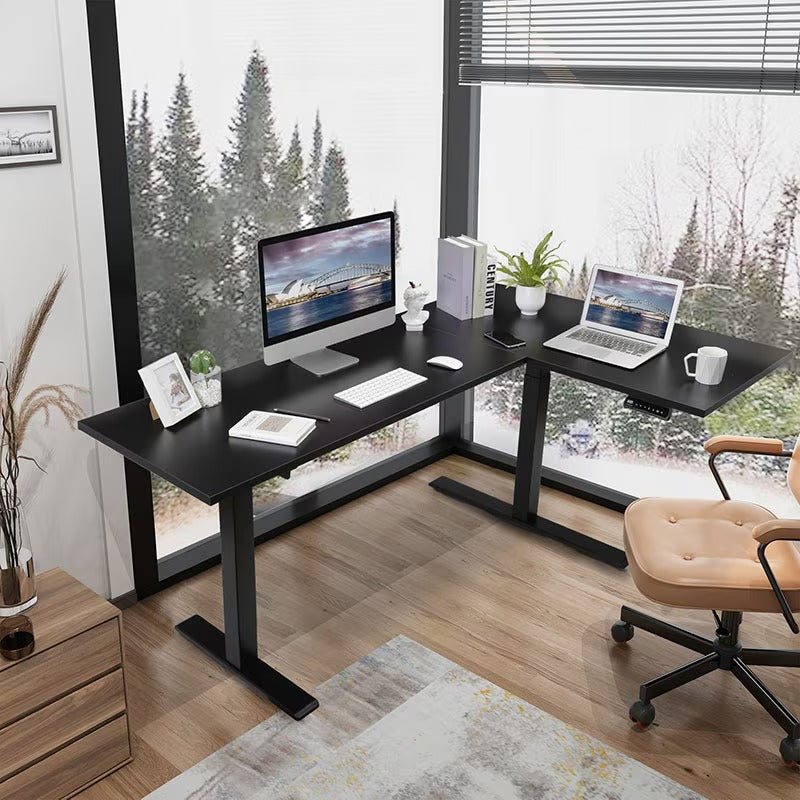 FlexiSpot E1L Dual-Motor Electric Standing Desk