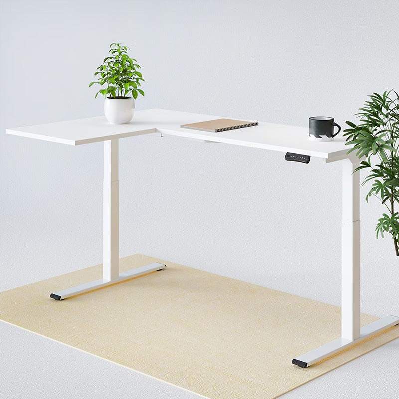 FlexiSpot E1L Dual-Motor Electric Standing Desk
