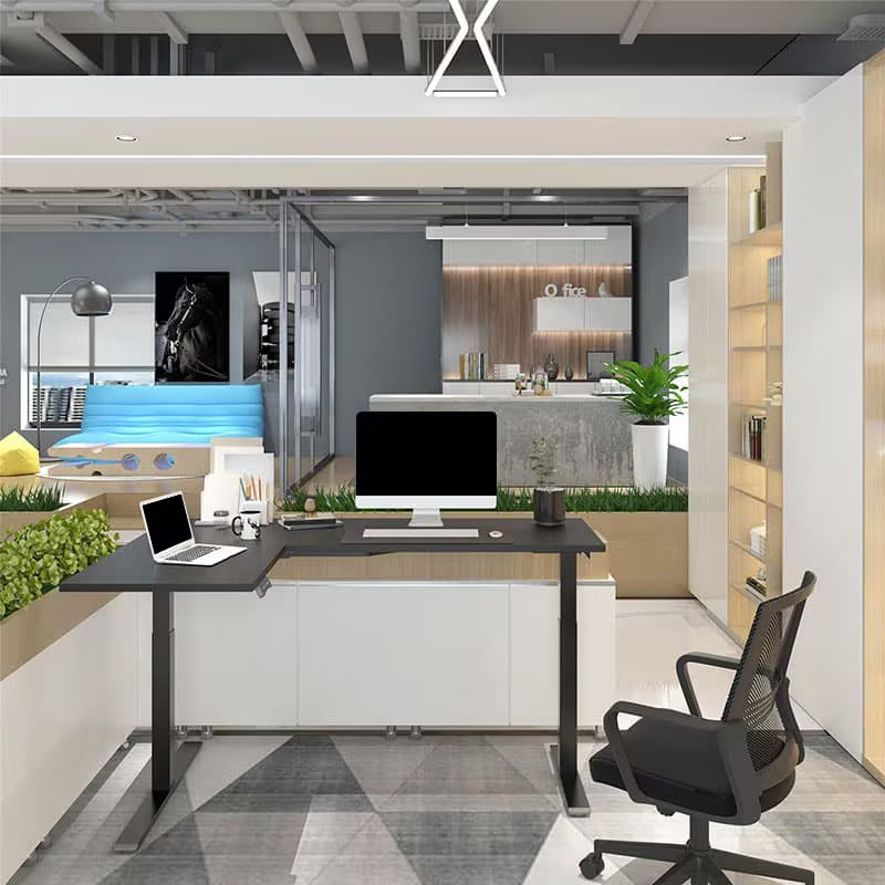 FlexiSpot E1L Dual-Motor Electric Standing Desk