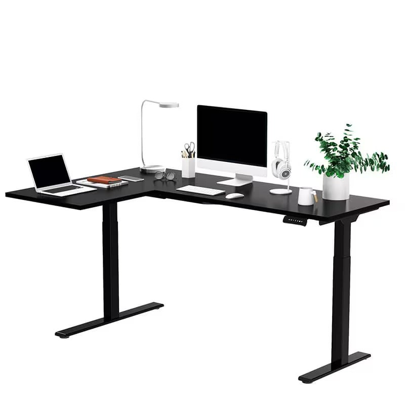 FlexiSpot E1L Dual-Motor Electric Standing Desk