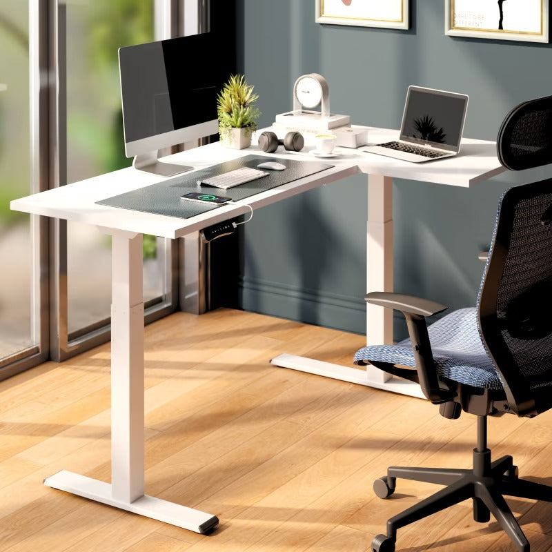 FlexiSpot E1L Dual-Motor Electric Standing Desk