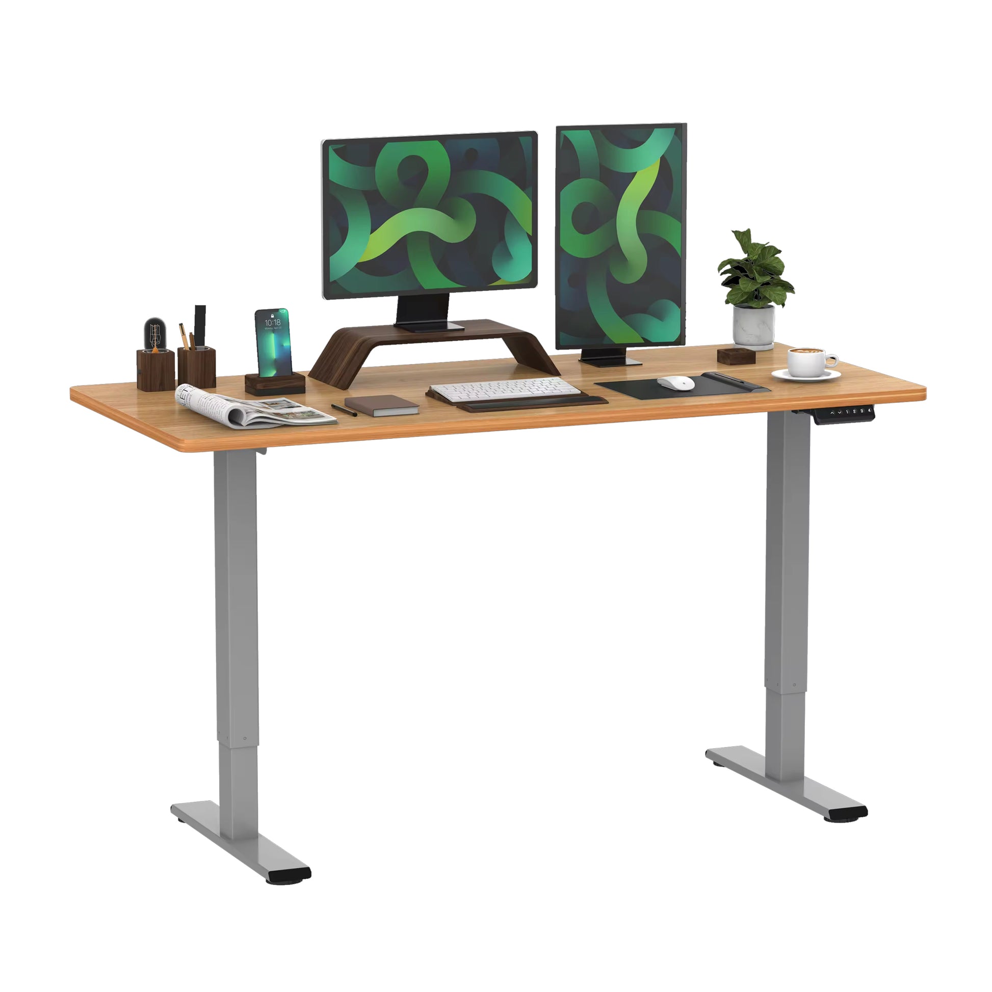 FlexiSpot E1 Pro Economic Dual-Motor Electric Standing Desk