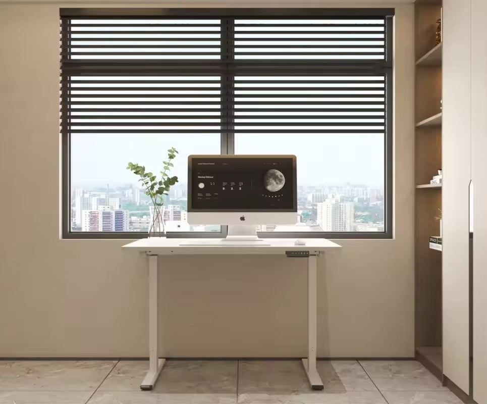 FlexiSpot E1 Pro Economic Dual-Motor Electric Standing Desk