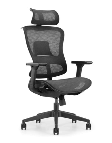 HOEY Ergonomic Office Chair