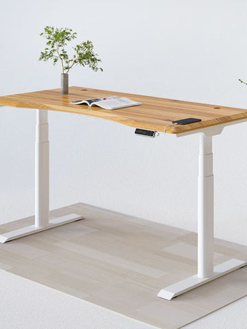 FlexiSpot E8 Oval Shaped Leg Electric Standing Desk (120~200cm Width)