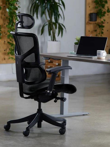 RIOLI R20 Basic Ergonomic Office Chair