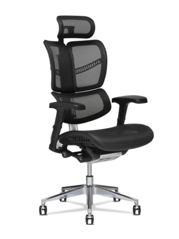 D40 DRAGONFLY-S Ergonomic Double Back Office Chair