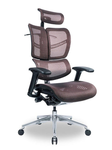 D40 DRAGONFLY-S Ergonomic Double Back Office Chair