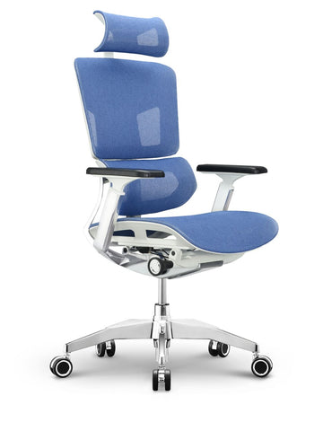 EMONE Luxury Ergonomic Office Chair