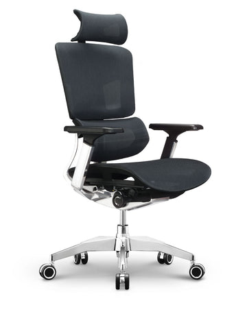 EMONE Luxury Ergonomic Office Chair