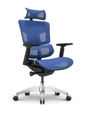 EMONE Basic Ergonomic Office Chair