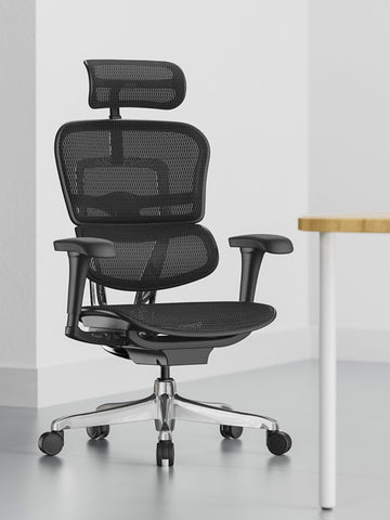 Ergohuman Project 2.0 Ergonomic Office Chair