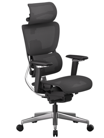 ErgoONE ES3 SOARER Advanced Adaptive Ergonomic Office Chair 