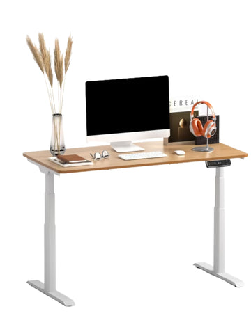 FlexiSpot E8 Oval Shaped Electric Standing Desk
