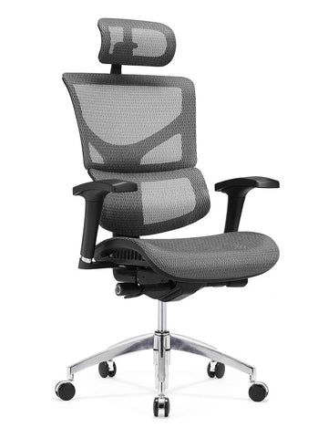 Rioli R30 Standard Ergonomic Office Chair
