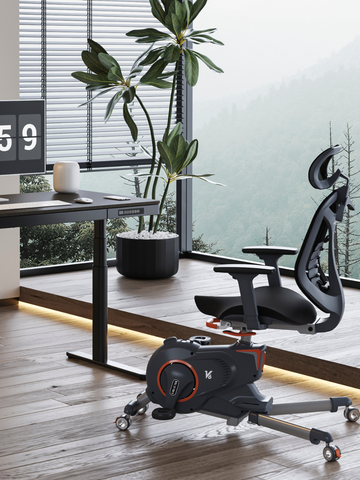 FlexiSpot Deskbike V6 Pro Ergonomic Office Bike Chair
