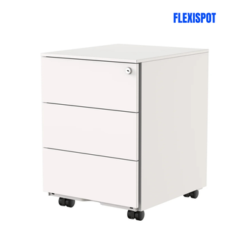 FlexiSpot RC2 精鋼文件櫃