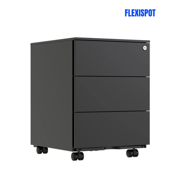 FlexiSpot RC2 精鋼文件櫃