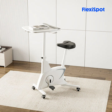 FlexiSpot Deskbike V9-N-A 辦公室健身單車椅